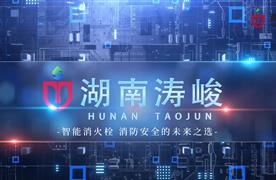 湖南濤峻 | 為消火栓裝上“智慧大腦”，守護城市安全！